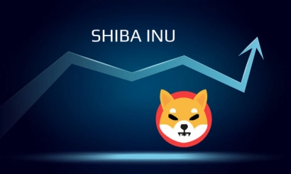 What?! Shiba Inu prices went up 25%?! We'll tell you why