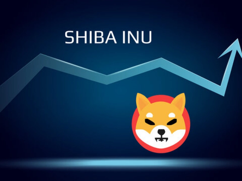 What?! Shiba Inu prices went up 25%?! We'll tell you why