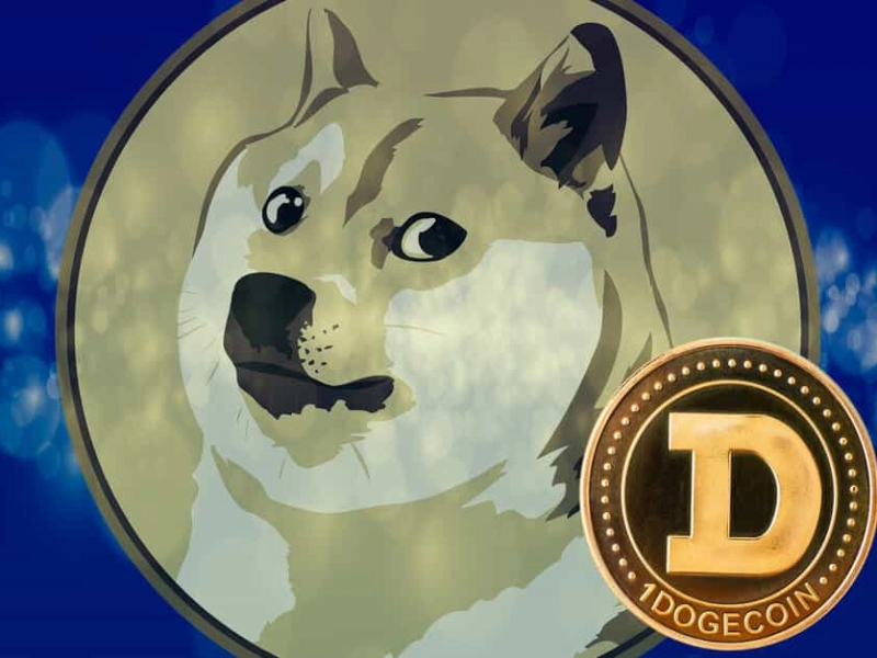 The number of transactions in the Dogecoin network rose to an all-time high