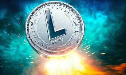 Digital Silver. What will happen to the price of Litecoin after the rapid growth?