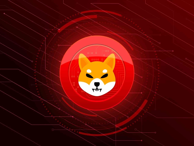 SHIB's chief developer has nothing to do with the PAW meme-token