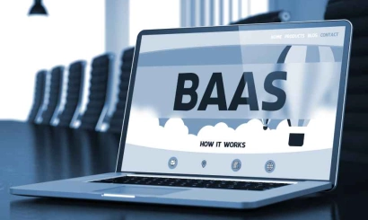 Blockchain as a Service (BaaS) - a Solution for Business