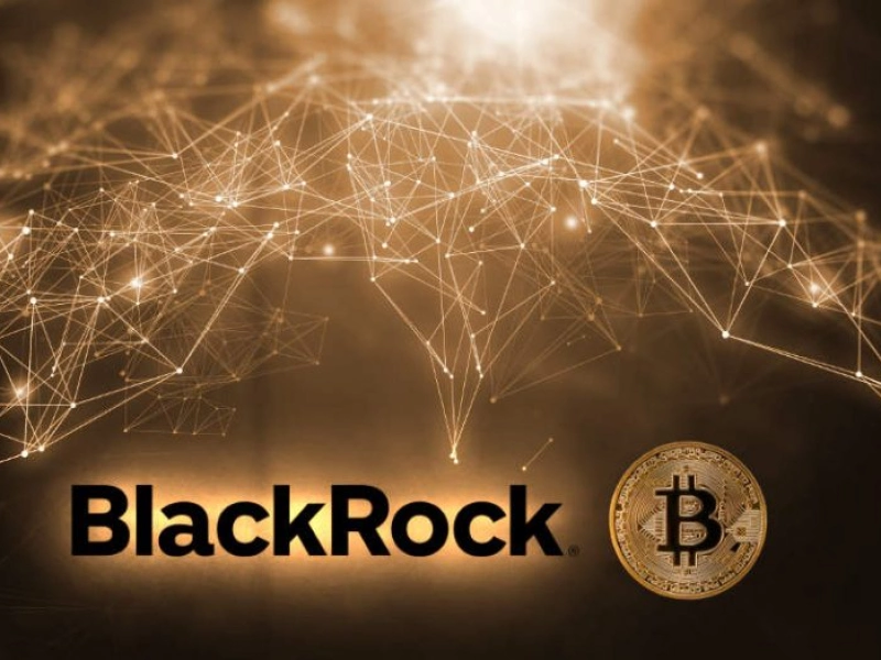 BlackRock's head calls it necessary to make Bitcoin transactions cheaper