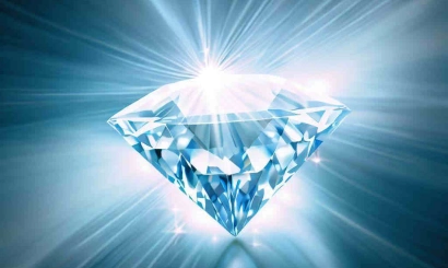 The organizer of a $1 billion ICO spent investors' money on a diamond