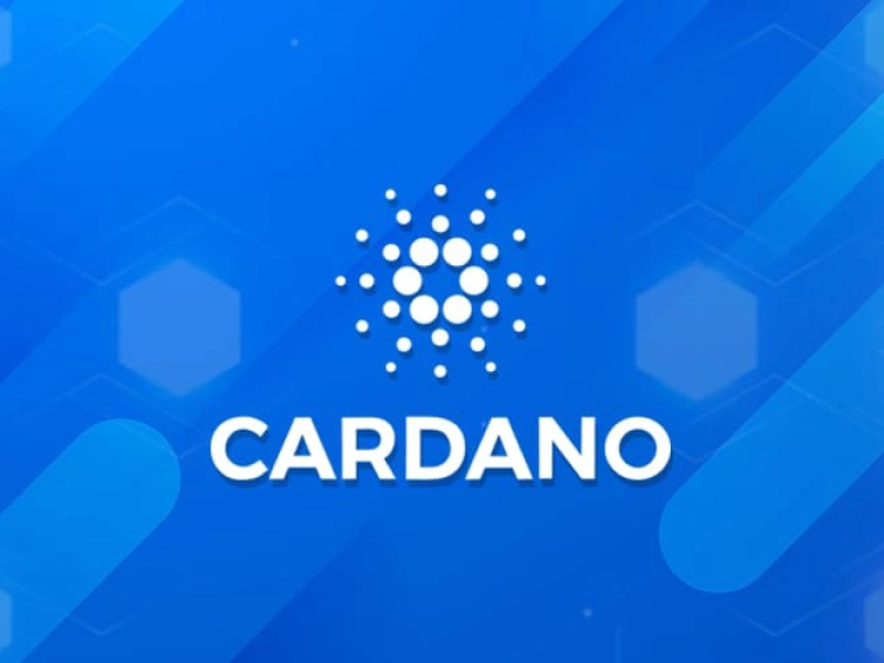 Creators of Cardano-based dApps have stepped up dramatically