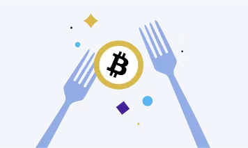 Blockchain Forks: Determining the True Original Chain