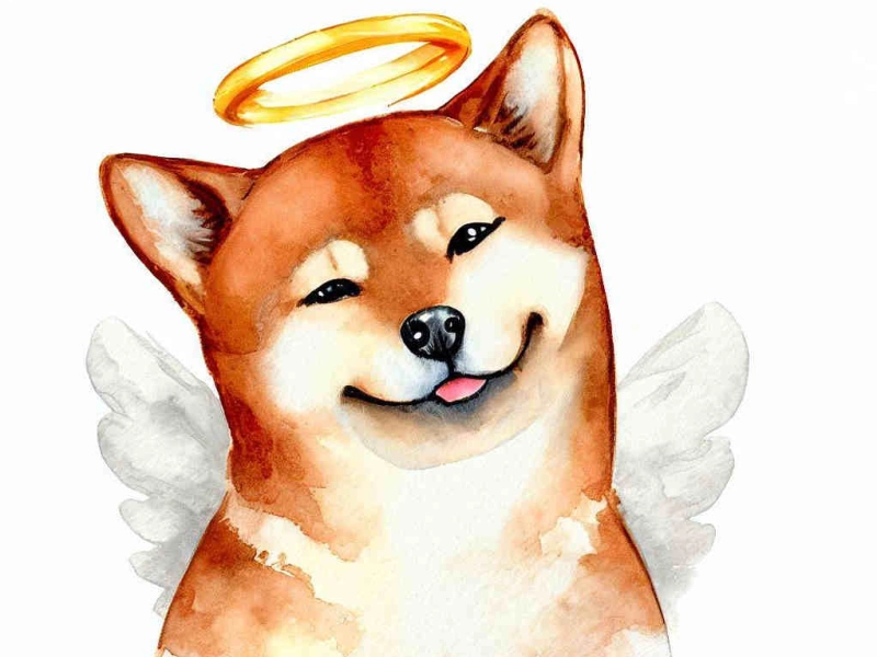 Dogecoin cryptocurrency symbol to be erected in Japan