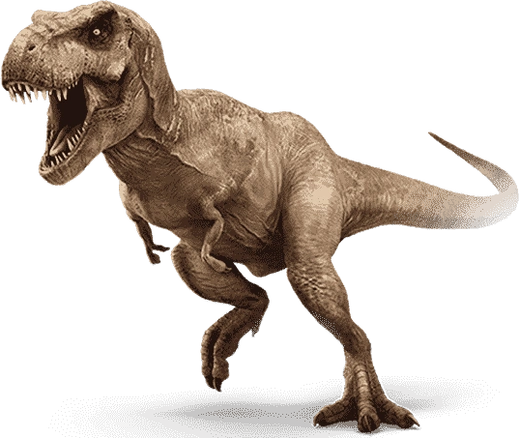 Download mining software: T-Rex