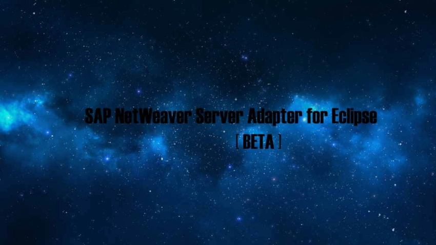 Download mining software: SAP NetWeaver