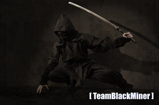 TeamBlackMiner