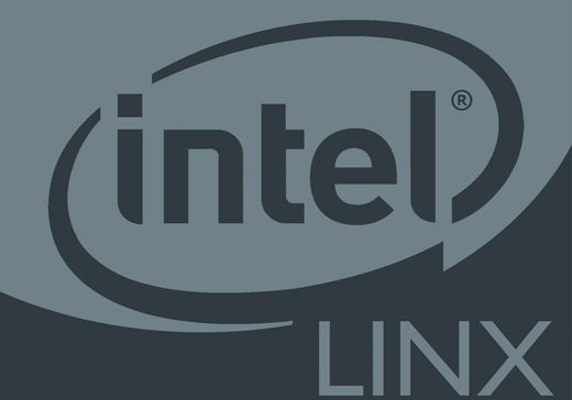 LINX (LinPack): Measuring Floating-Point Computing Power in Modern Systems